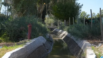 Femicidio en Mendoza: imputaron a