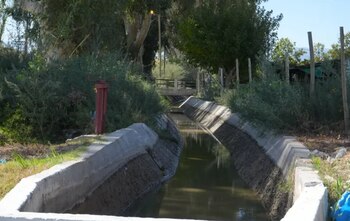 El cuerpo fue hallado cuando un hombre que estaba regando una finca