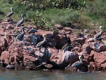 bahía de Ohuira