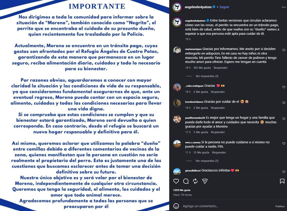 El refugio Ángeles de Cuatro Patas se hizo cargo del cuidado del perro y lo derivó a un tránsito pago, cuyos gastos asume la propia organización
