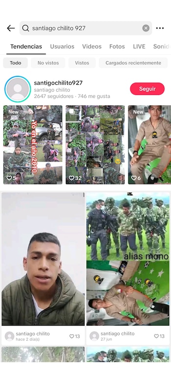 La cuenta de TikTok de la que salió el video compartido por Gustavo Petro publica contenidos de apología de la guerrilla, según el Ministerio de Defensa - crédito TikTok