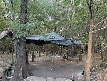 El campamento narco a la