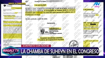 Revelan dudas sobre trabajo de