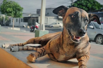 Tatiana posando para la cámara