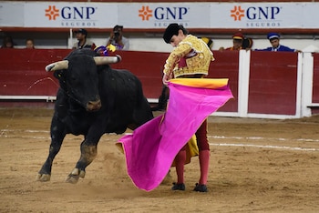 El Congreso aprobó la ley que prohíbe las corridas de toros - crédito Tadeo Alcina/EFE