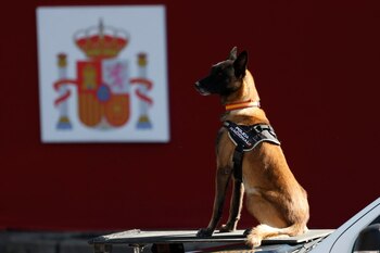 Un perro de la Policía
