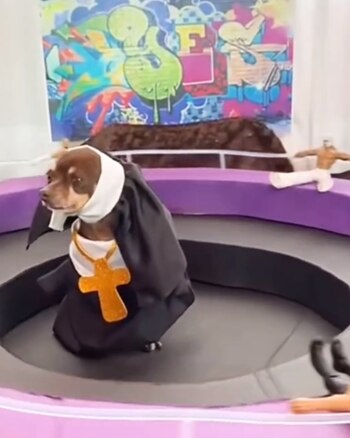 El disfraz cuenta con lo