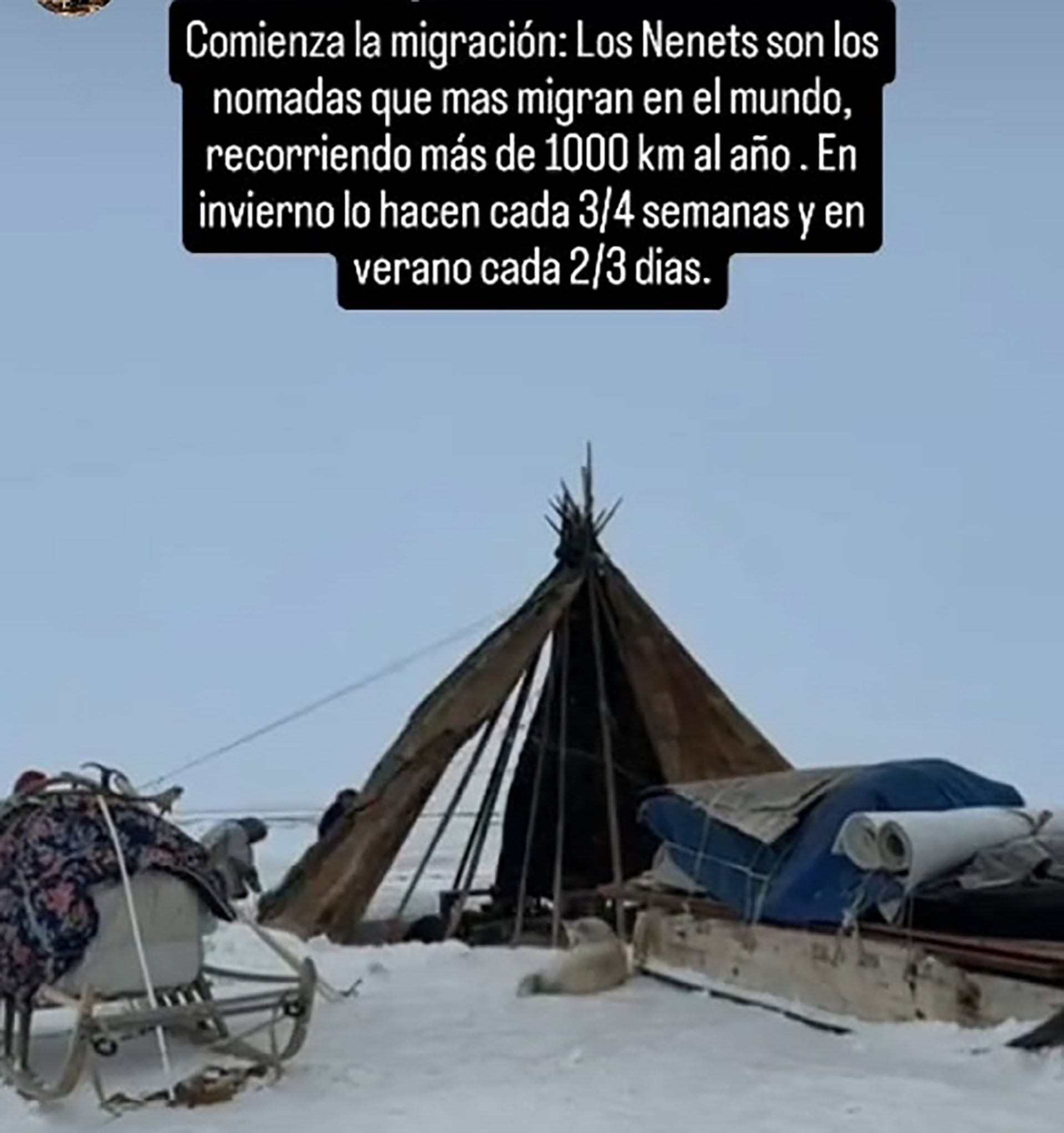 Imagen del momento previo a la migración: la tribu de nenets prepara su campamento en la vasta y gélida tundra siberiana, continuando su estilo de vida nómada y migratorio, recorriendo largas distancias anualmente