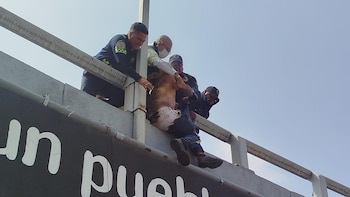 Policías de la CDMX rescatan a hombre que se prendió fuego e intentó arrojarse en la Glorieta de Insurgentes