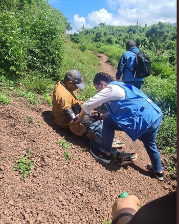 Luis Manuel Díaz fue valorado