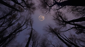La luna muestra una parte distinta de su cara cada semana (Imagen Ilustrativa Infobae)