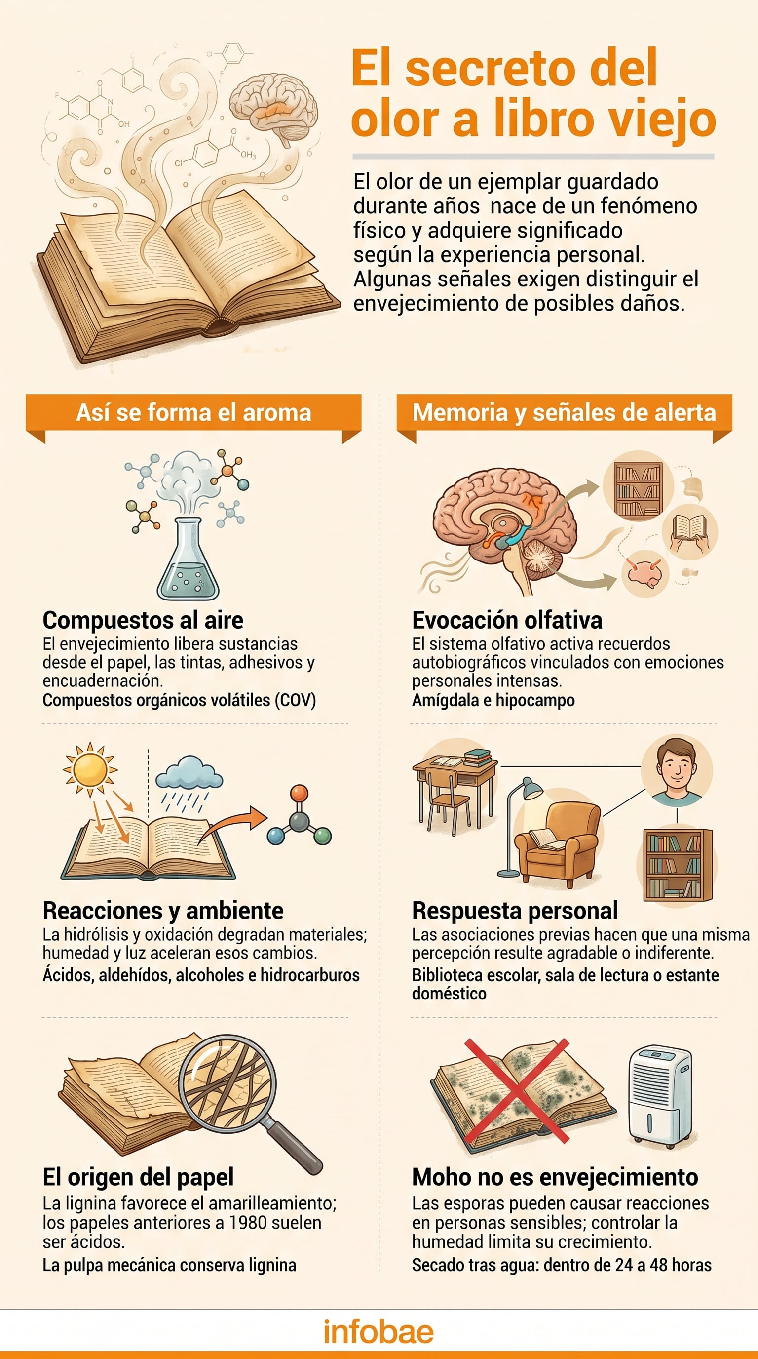 La lignina favorece el amarilleamiento y acelera algunos cambios químicos del papel fabricado con pulpa de madera
. (Imagen Ilustrativa Infobae)