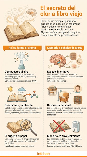 Infografía explicativa con ilustraciones de un libro abierto, moléculas químicas, un cerebro humano y una lupa sobre hojas amarillentas.