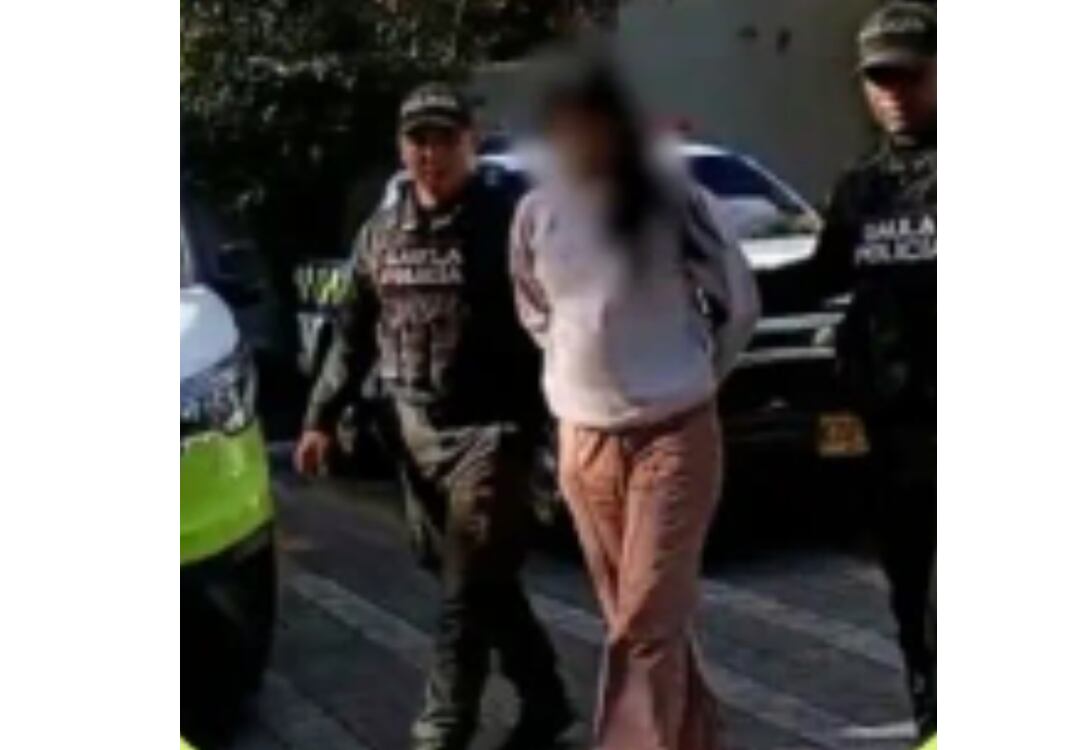 La mujer recibía más de 600 millones de pesos al mes - crédito Policía Nacional
