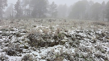 En el centro y regiones