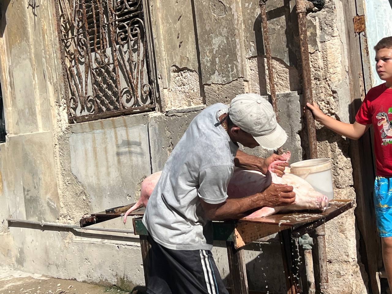 La escena del cerdo faenado en la vereda, frente a un edificio de arquitectura colonial en avanzado estado de deterioro, con niños alrededor y una olla en el suelo, sintetiza la dimensión doméstica de la crisis energética que atraviesa Cuba (Infobae)
