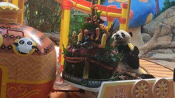 Meng Meng, Ku Ku, y Shuai Shuai