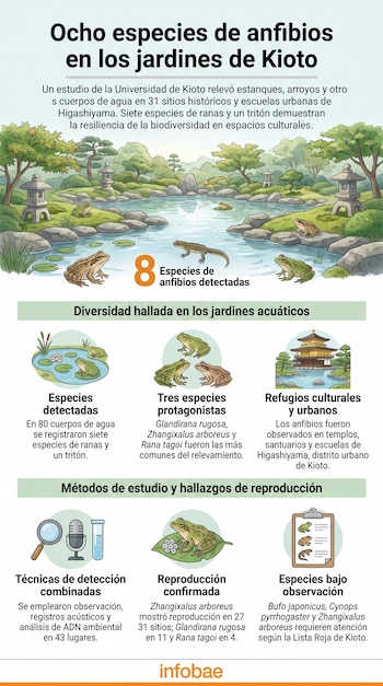 Un jardín japonés con un estanque, rocas, árboles y linternas de piedra. Hay cuatro ranas y un tritón en el agua y la orilla. Incluye gráficos e iconos informativos.