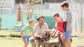 Madrid Río recibe un salón de adopción mientras el centro se prepara para el paso del rebaño. (Canva)