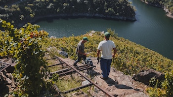 La 'heroica' recuperación de la Ribeira Sacra y el reto del cambio climático