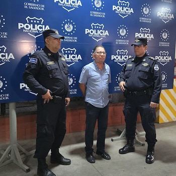 El dictamen pericial solicitado por