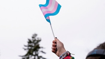 Envían a la cárcel a