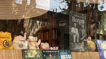 Varias figuras de gatos de la suerte y libros expuestos detrás del cristal del escaparate de una librería.