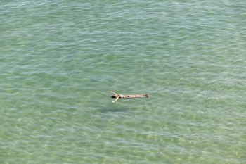 Una mujer se refresca en la bahía de La Concha de San Sebastián, a 24 de junio de 2026. (EFE/Javier Etxezarreta)