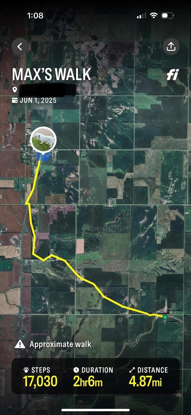 Sara Olson rastreó a Max gracias al GPS que lleva en su collar. —(Facebook, Amigos de Lucho)