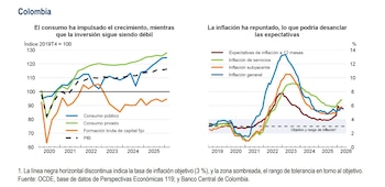 La Ocde prevé que el Banco de la República mantendrá tasas de interés elevadas, cerca del 12,75%, hasta mediados de 2027 para combatir la inflación - crédito Ocde