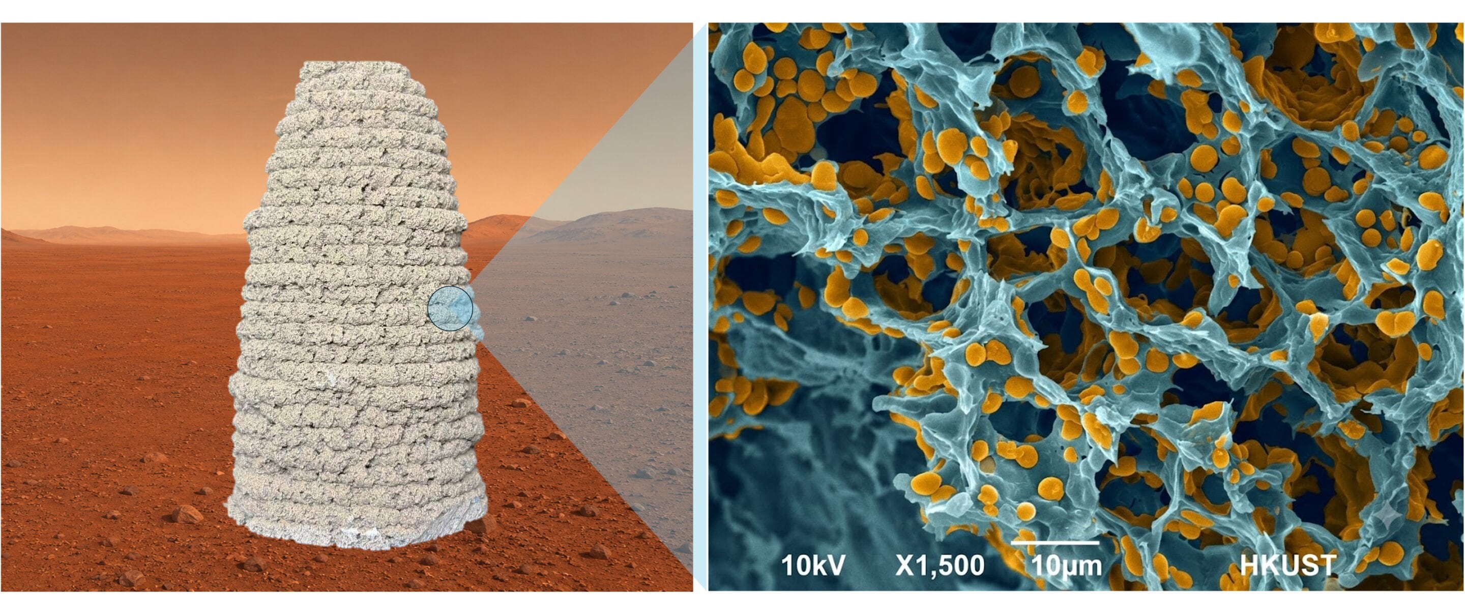 Investigadores proponen imprimir refugios en Marte en 3D con roca marciana, gelatina y levadura para reducir el envío de materiales desde la Tierra. (Ning Liu)
