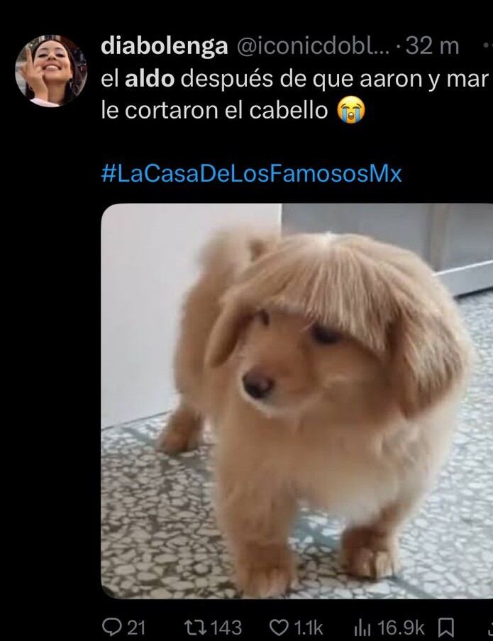 (captura de pantalla)