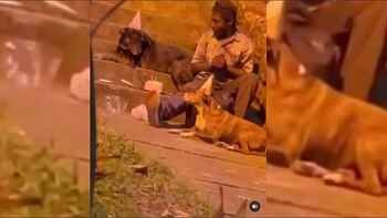 Video: habitante de calle celebró