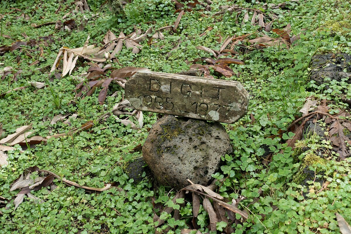 Tumba del gorila Digit en el Centro de Investigación de Dian Fossey, en Karisoke (Fanny Schertzer/Wikimedia Commons)