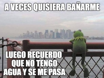 Ranita triste junto al lago,
