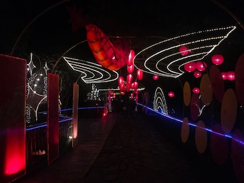 La celebración va más allá