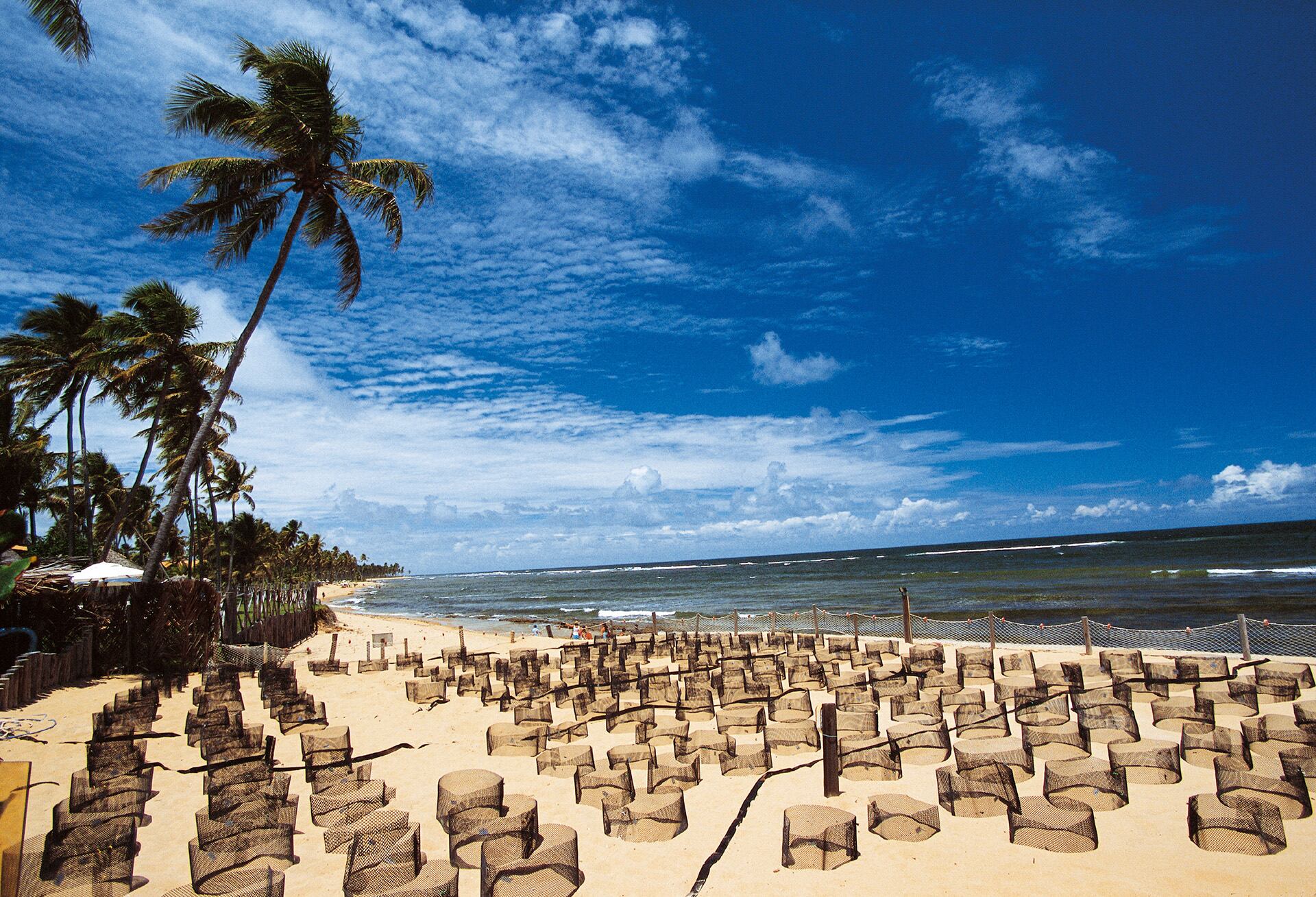 El pago con Pix agiliza consumos cotidianos y facilita el acceso de turistas argentinos a servicios brasileños