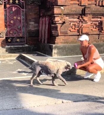 Walter tenía una desnutrición severa,