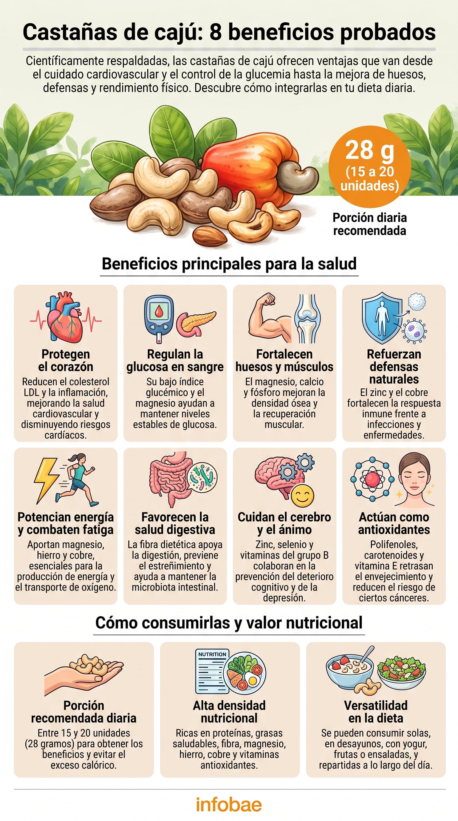 Los anacardos tienen bajo índice glucémico y magnesio, por lo que contribuyen al control de la glucosa en sangre y a la sensibilidad a la insulina (Imagen Ilustrativa Infobae)