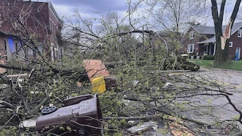 Calle residencial totalmente bloqueada por ramas y troncos de árboles caídos. Un cubo de basura marrón está volcado en medio del escombro, con casas al fondo