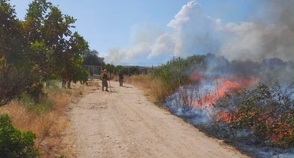 El Gobierno declara la emergencia de interés nacional en Madrid y Ávila por los incendios, con miles de evacuados, una veintena de viviendas afectadas y más de 600 hectáreas calcinadas