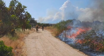 Imágenes de los equipos de extinción intentando controlar el fuego en Villa del Prado, Madrid. (X/@112cmadrid)