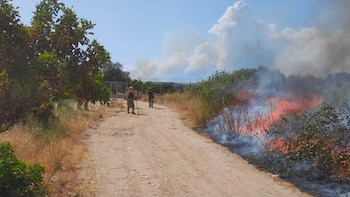 Tres incendios activos en la Comunidad de Madrid dejan 26 viviendas afectadas, más de 600 hectáreas calcinadas y decenas de vecinos evacuados o confinados en plena ola de calor