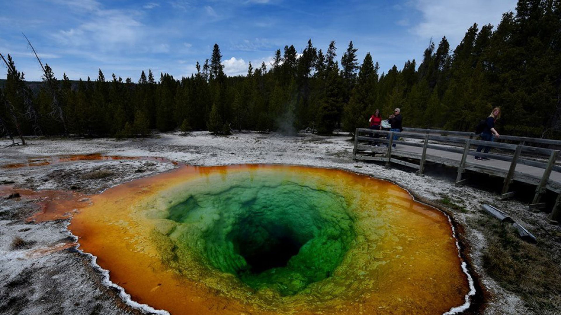 En la década de 1950, el personal del parque ya se refería a esta piscina con un apodo que nadie querría para un patrimonio natural (AFP)