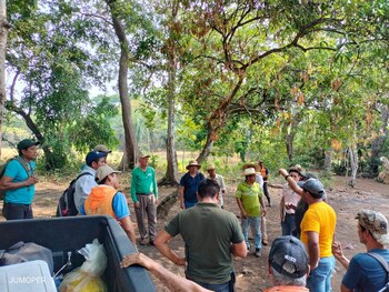 SEMARNAT, en coordinación con ONGs