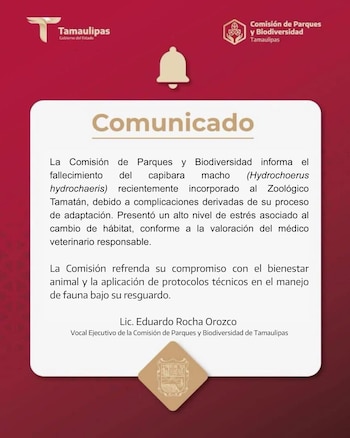 Las autoridades del estado de