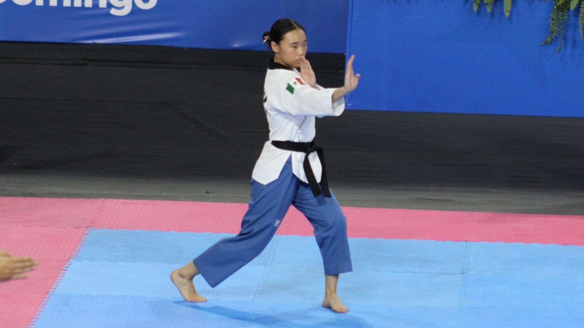 Los atletas mexicanos ya se preparan en el Comité Olímpico Mexicano para lo que será el Panamericano y del próximo mes. (Cortesía)