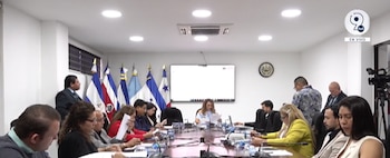 La Comisión de Salvadoreños en el Exterior, Legislación y Gobierno emitió un dictamen favorable para ratificar el acuerdo bilateral con Italia sobre licencias de conducir./ (Asamblea Legislativa)