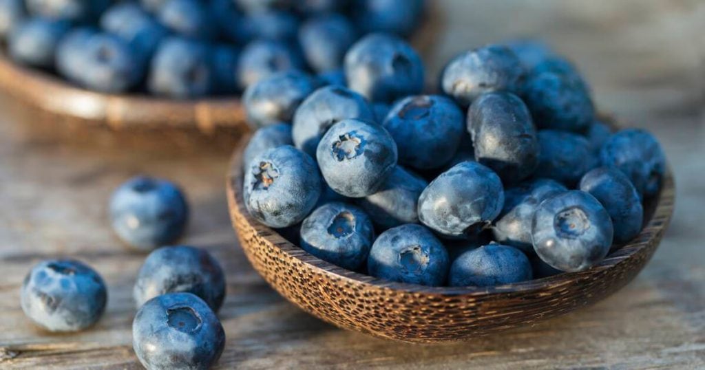 Los arándanos frescos alcanzaron exportaciones por USD 1.806 millones, concentrando el 17,8% del total. Foto: Fresh Fruit