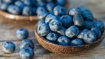 Arándanos con ADN del nordeste